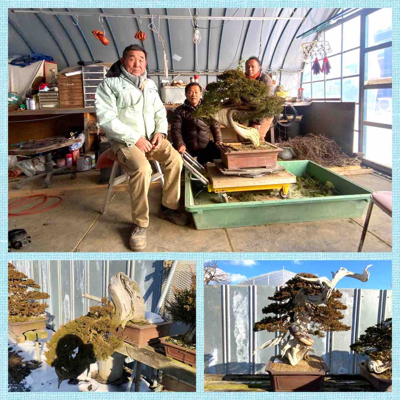 【まなちゃんさん専用】【加茂桐たんす（7段）】伝統工芸士 柏 政衛 作 商品検索｜中川政七商店オンラインショップ