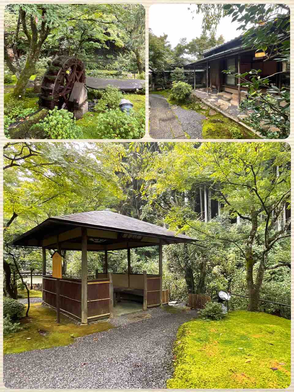 100年の“隠れ家“ 京都「わらびの里」に盆栽を飾って : 雨竹 盆栽 水石 便り