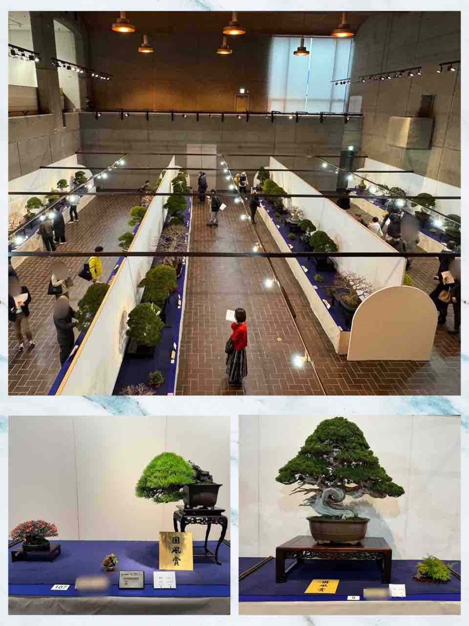 贈り物 時代古作品❗】本天然木 極細密彫り 透かし造 花台 展示台 盆栽 彫刻・オブジェ