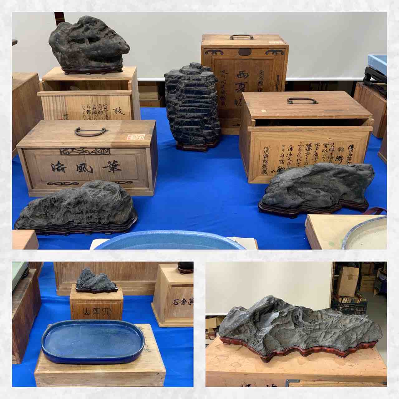 水石協会オークション・“開かずの蔵“ 一斉出品❗️ : 雨竹 盆栽 水石 便り