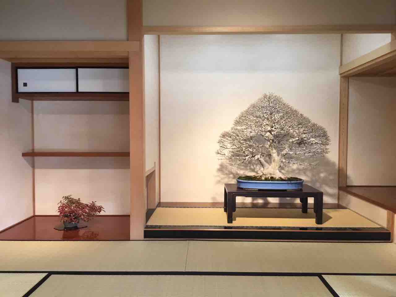 大宮盆栽美術館「竹山 浩」個展！ : 雨竹 盆栽 水石 便り