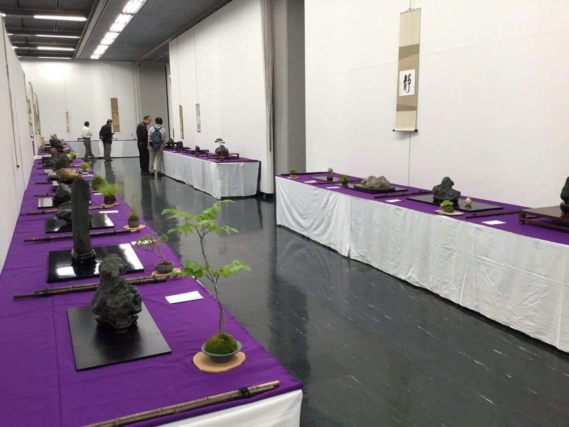 雨竹 盆栽 水石 便り北海道大水石展！90点の秀石大集合                        森前誠二