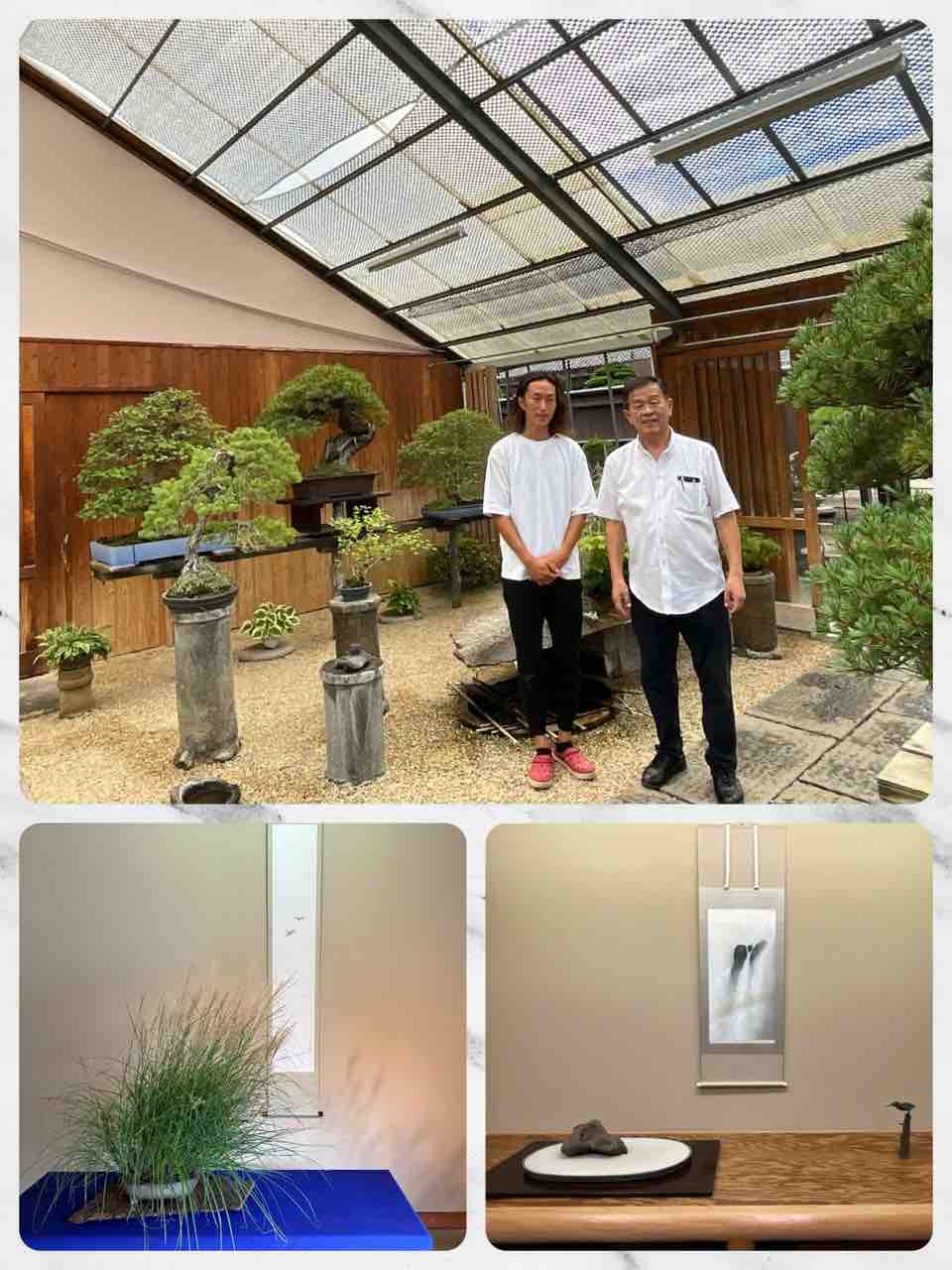 まるで博物館❗️小布施鈴木伸二さん盆栽庭園‼️ : 雨竹 盆栽 水石 便り