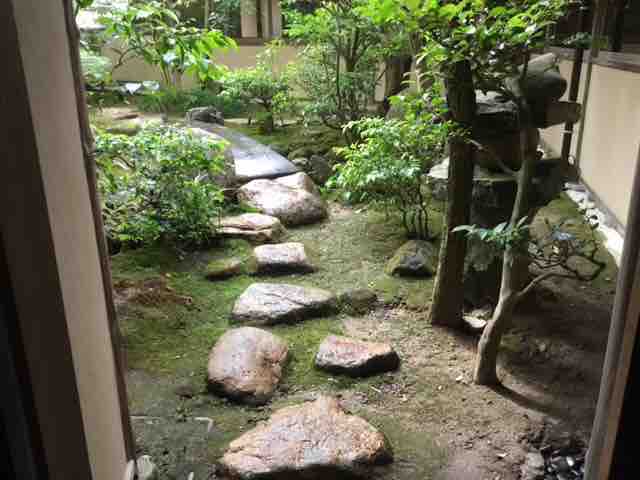 陰影礼賛 雨竹 盆栽 水石 便り