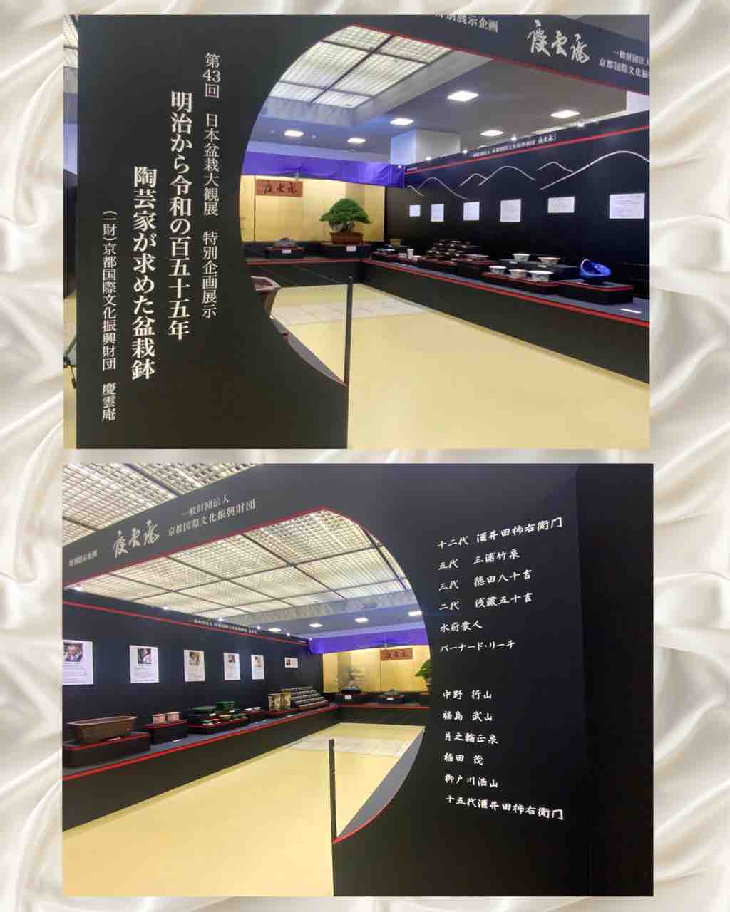 第43回 日本盆栽大観展開催❗️ : 雨竹 盆栽 水石 便り
