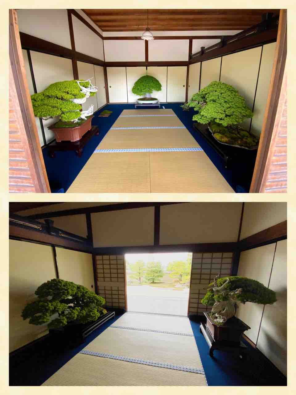 究極の盆栽水石の飾り❗️ : 雨竹 盆栽 水石 便り