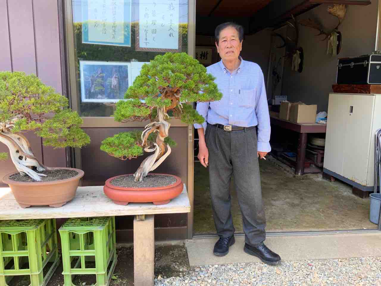 ☆現代盆栽技術の真髄 木村正彦の世界 M04440