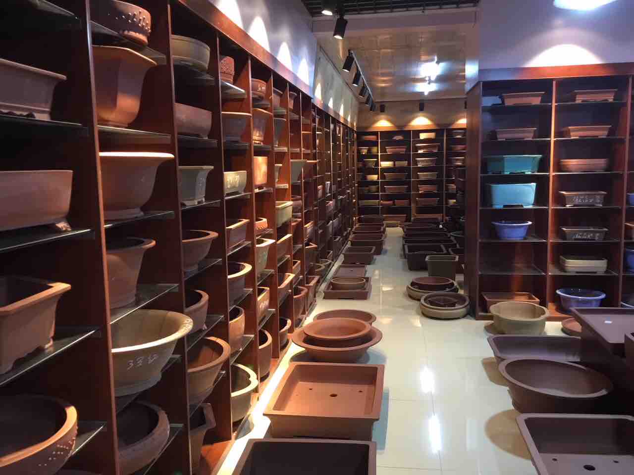 中国「紫砂盆器」最高峰『宝山窯』との挑戦 : 雨竹 盆栽 水石 便り