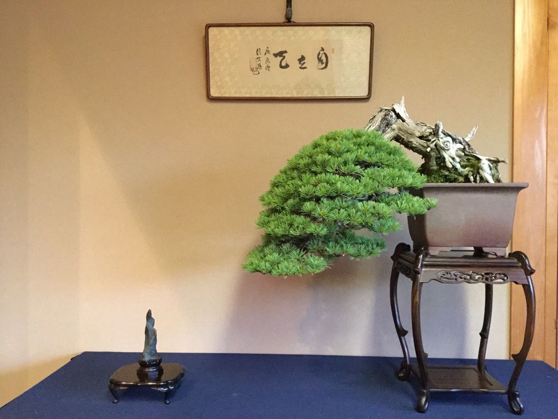 水石 盆栽用飾り水溜まり石 水石：釜無川石 【現品】*資材 かまなし | 水石・飾り石,水石 | 遊恵