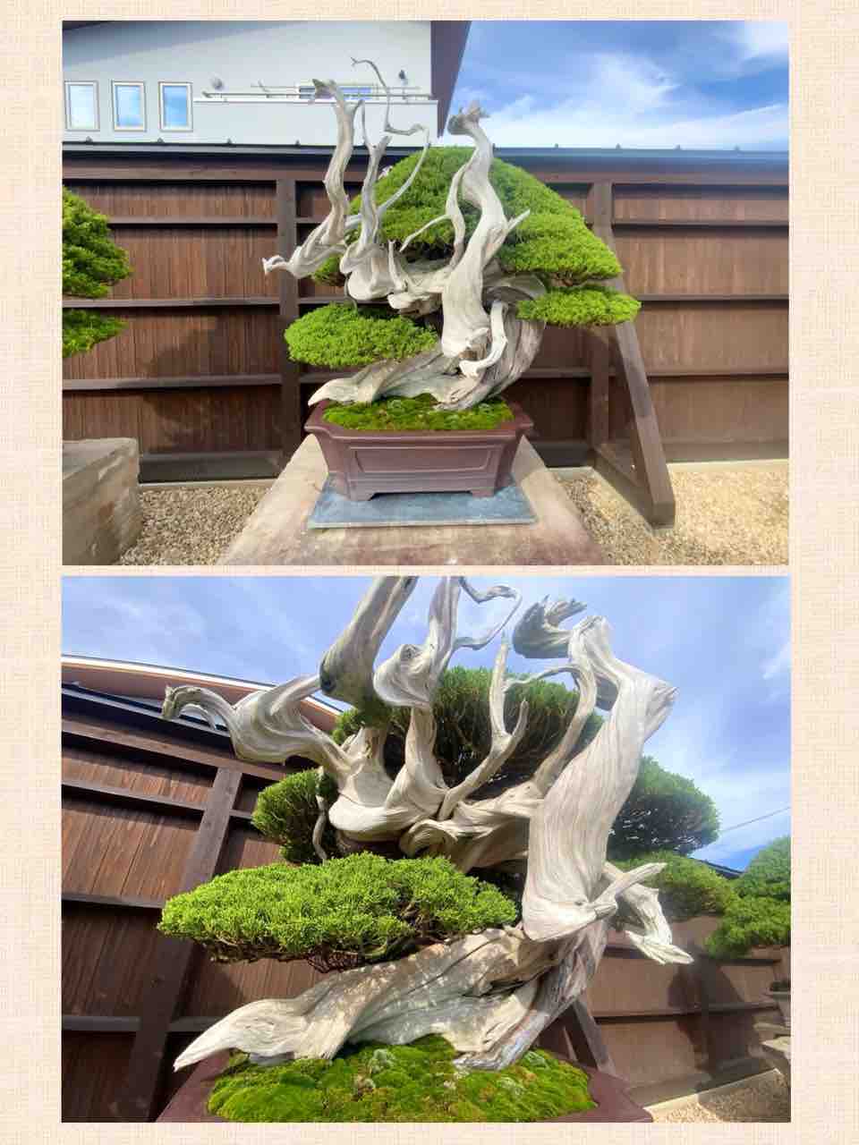 内閣総理大臣賞受賞　受賞作家の大変モダンな絵画です。 内閣総理大臣賞受賞 受賞作家の大変モダンな絵画です。 内閣総理大臣賞