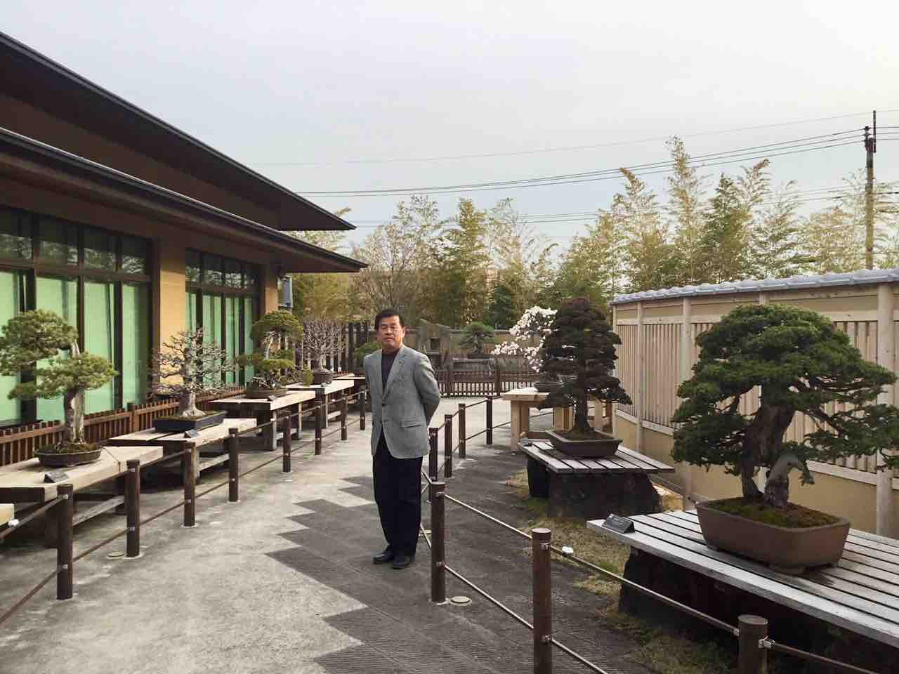 大宮盆栽美術館「竹山 浩」個展！ : 雨竹 盆栽 水石 便り
