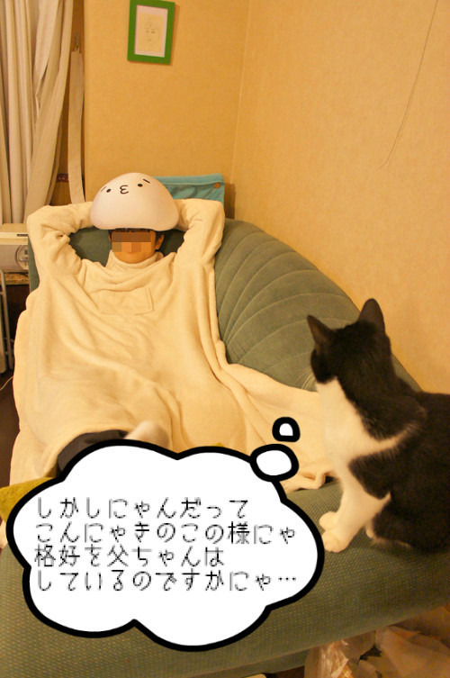 きのこ王と顔文字ーズ うちのぽえっと ひげ猫の日常