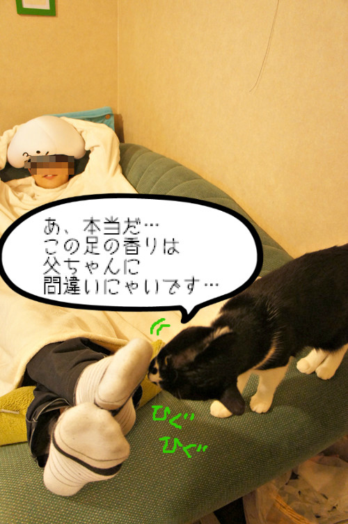 きのこ王と顔文字ーズ うちのぽえっと ひげ猫の日常