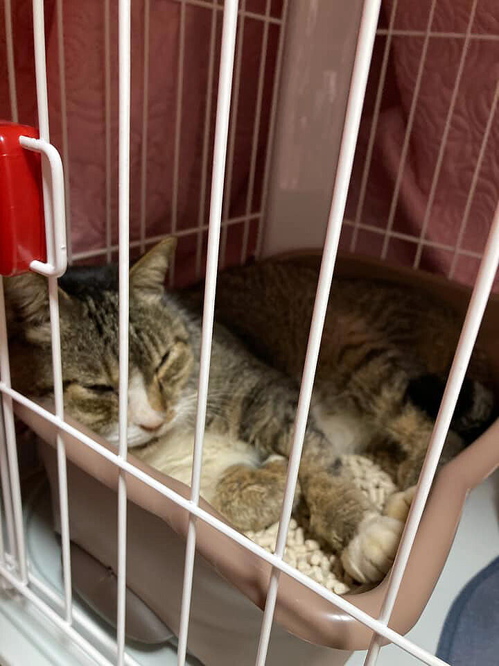 267382194_450721596707473_9158129175283189607_n