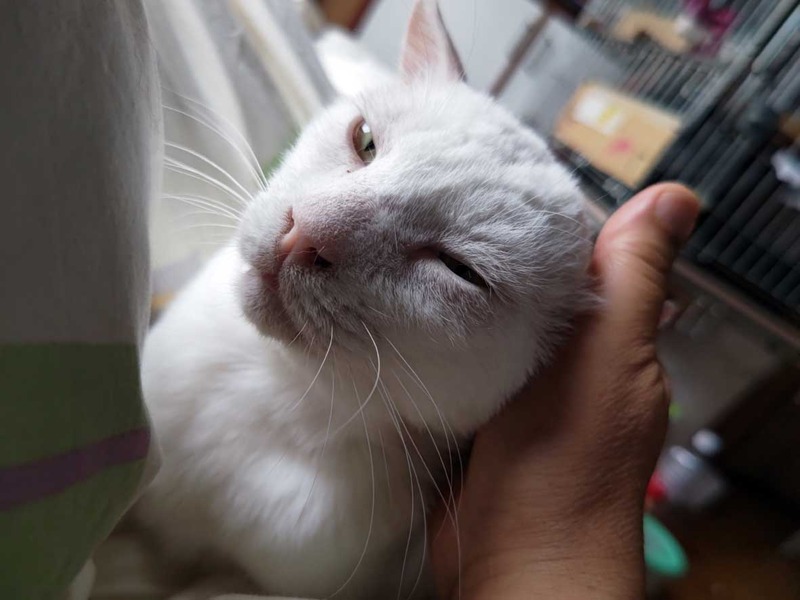 l7383