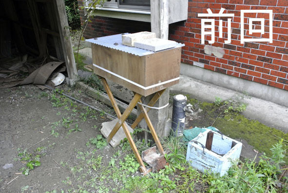 うちのとらまる