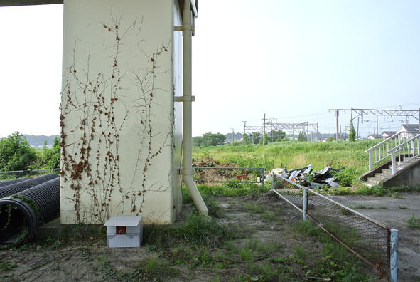 うちのとらまる