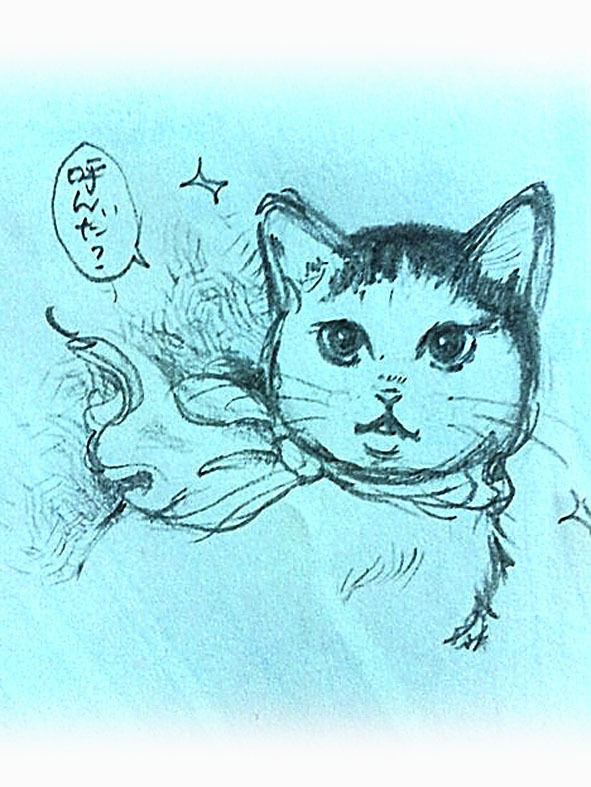うちのとらまる