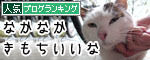 うちのとらまる