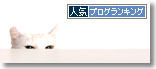 うちのとらまる