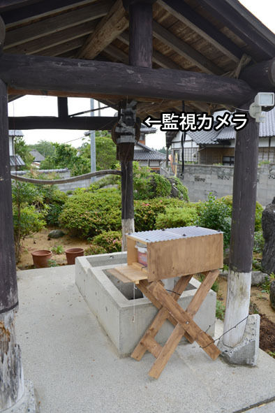 うちのとらまる