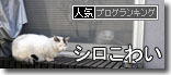 うちのとらまる