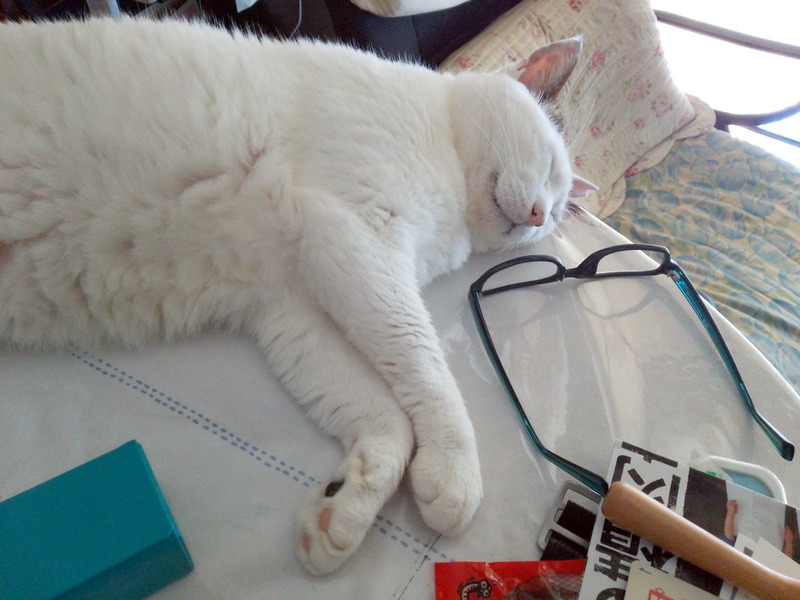 l2014-07-02-12-00-38_photo