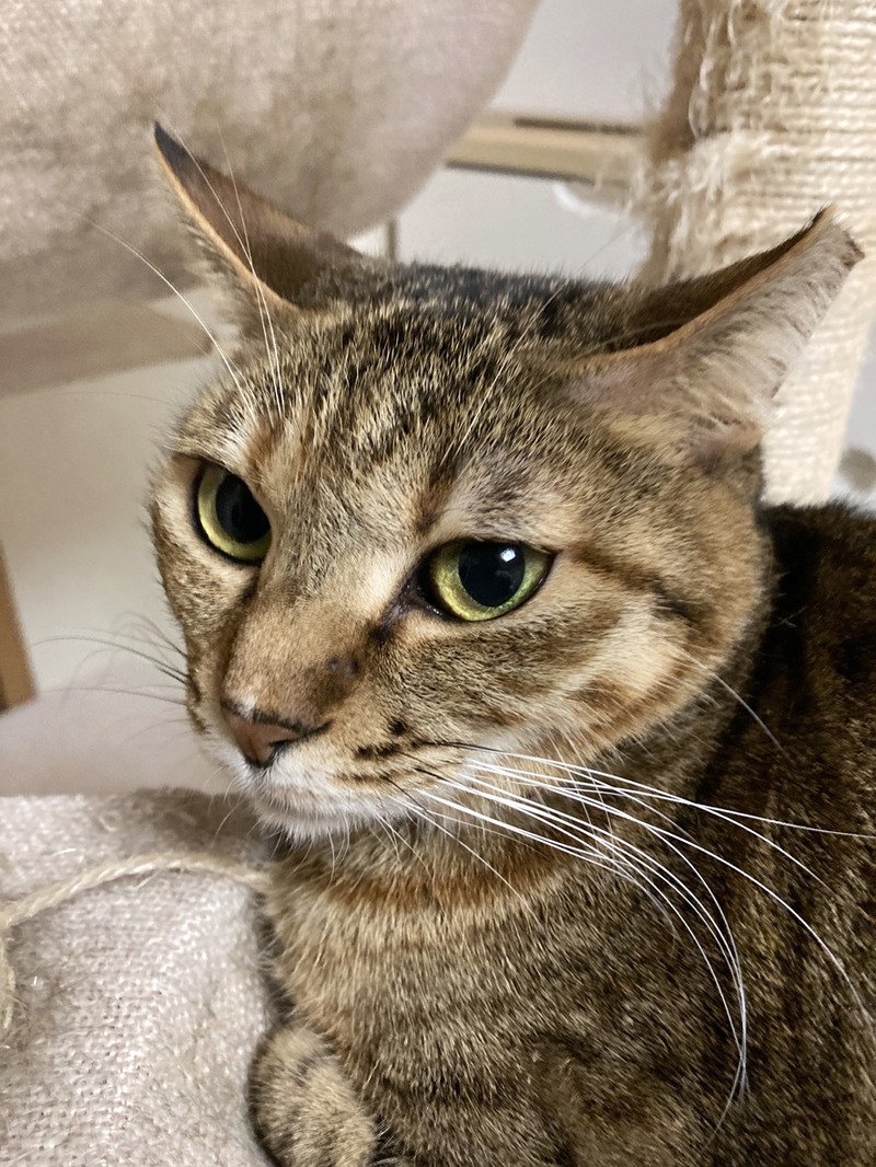 llF305B007-F495-4974-B63E-69861B072BC3