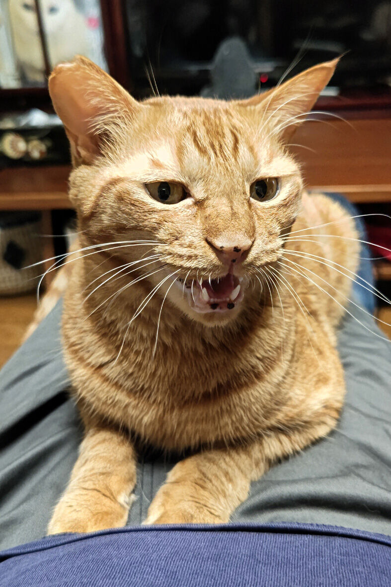 l20230720184654578_COVER