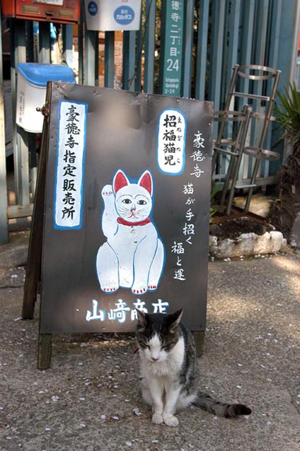 うちのとらまる