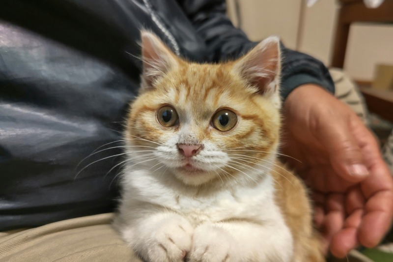 CENTER_0002_BURST20220319171922603