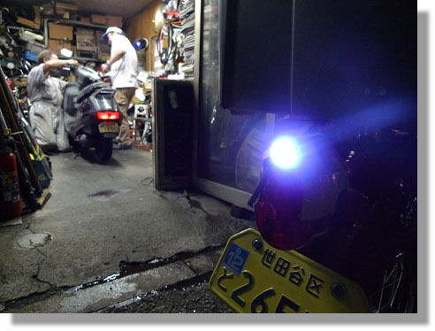 うちのとらまる