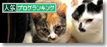 うちのとらまる