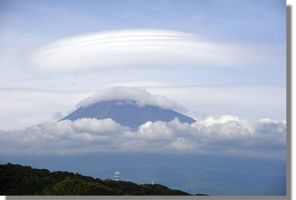 うちのとらまる