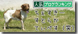 うちのとらまる