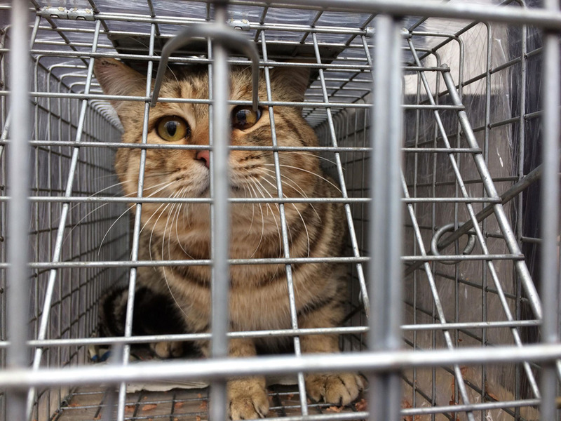 l341866513511219200_n