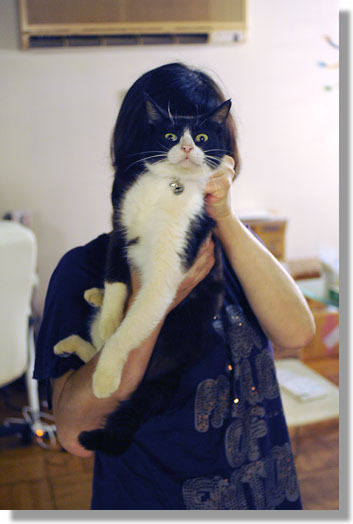 うちのとらまる