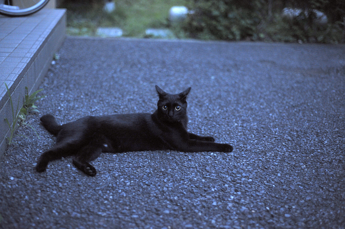 1cb2a95f.jpg