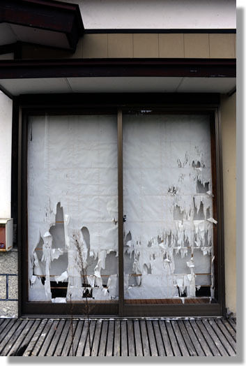 うちのとらまる