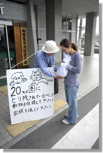 うちのとらまる