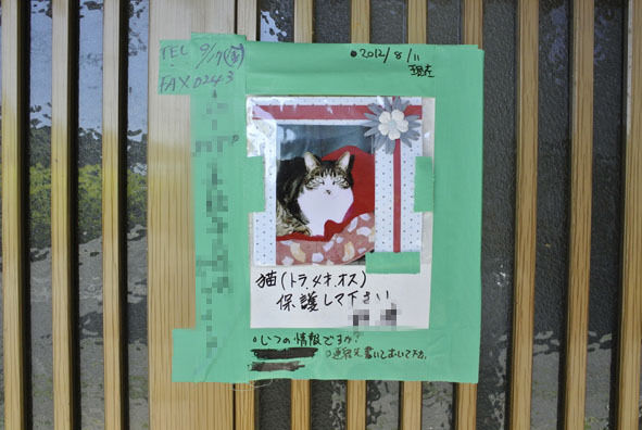 うちのとらまる