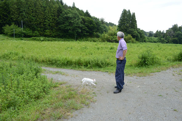 うちのとらまる