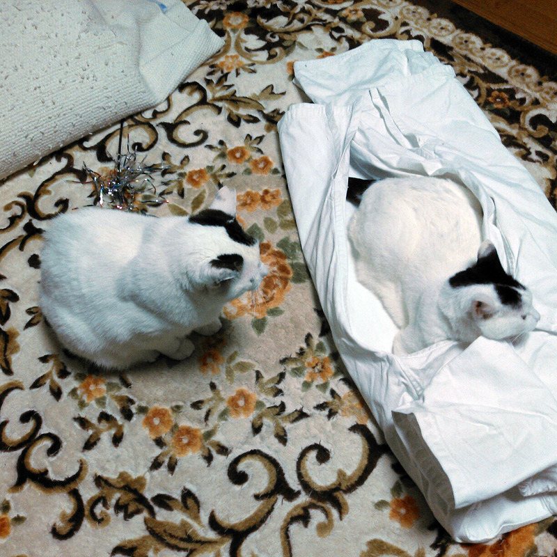 l2013-05-08-18-49-49_photo