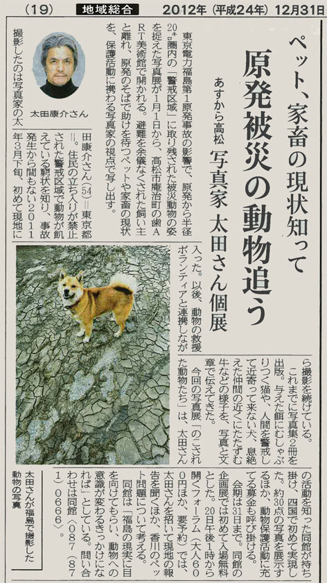 うちのとらまる