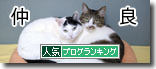 うちのとらまる
