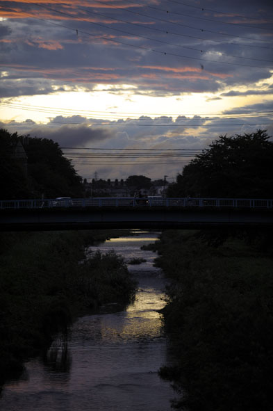 うちのとらまる