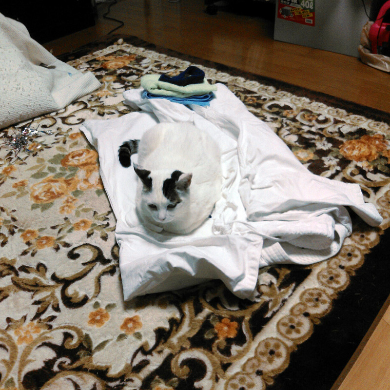 l2013-05-08-19-05-52_photo