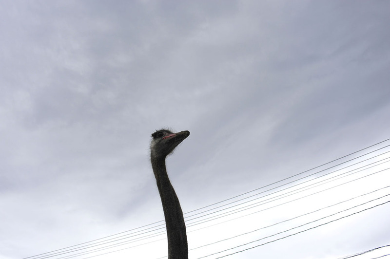 l0025