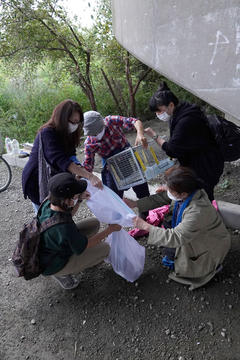l06035