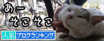 うちのとらまる